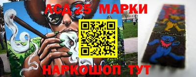 индика Ставрополь