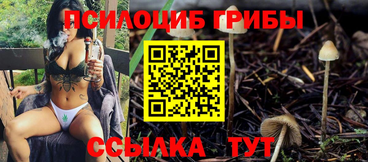 Псилоцибиновые грибы ЛСД Новошахтинск