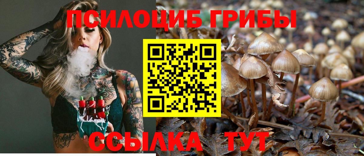 Галлюциногенные грибы Cubensis  Галлюциногенные грибы Psilocybe  Вход с VPN  Новошахтинск 